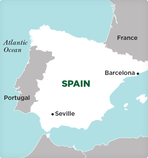 program map