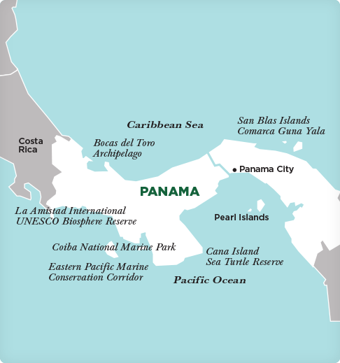 program map