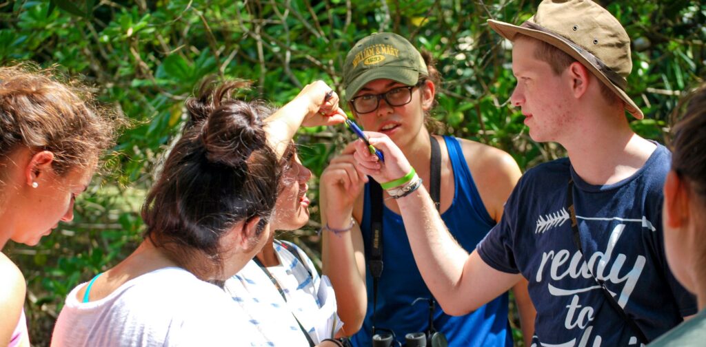 photo gallery image 4