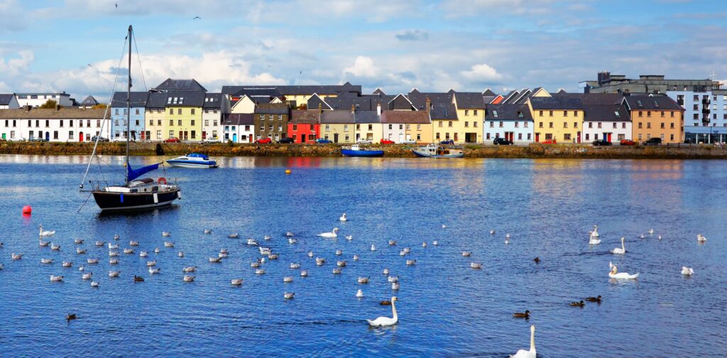 photo gallery image 7