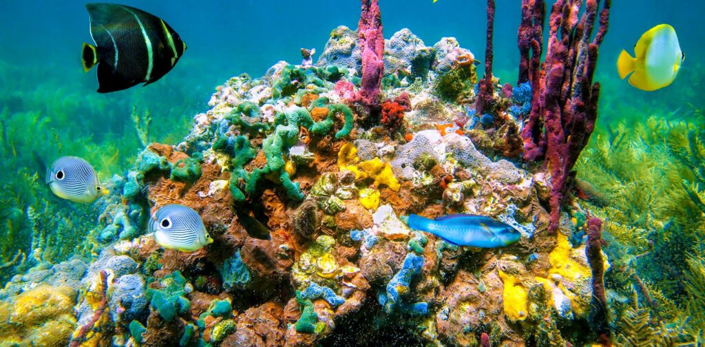 photo gallery image 7