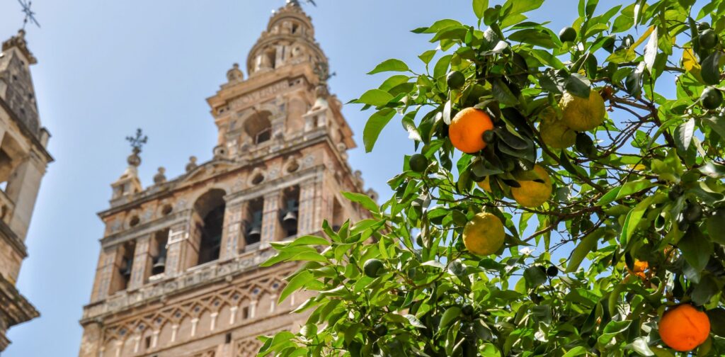 photo gallery image 7