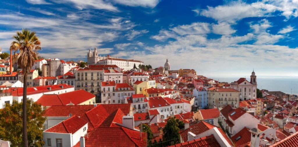 photo gallery image 4