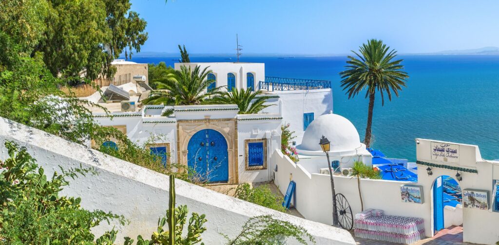 photo gallery image 7